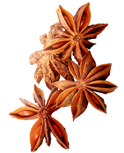 star anise